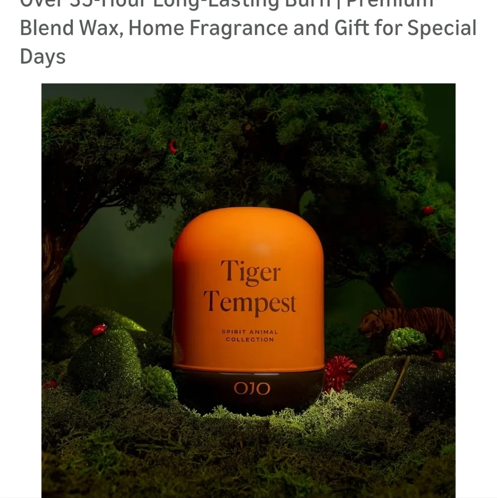 OJO Tiger Tempest Scented Candle – 7.8 oz Jar Candle